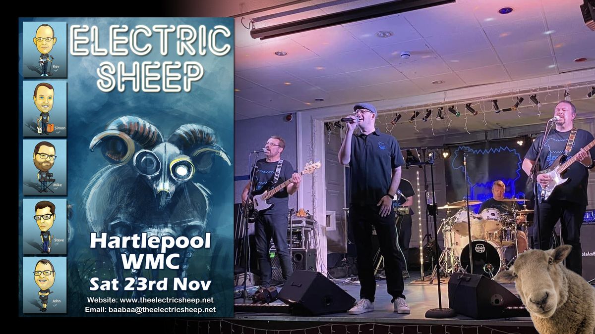 Electric Sheep at Hartlepool WMC