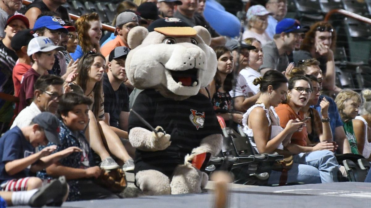 Tri-City ValleyCats at Ottawa Titans