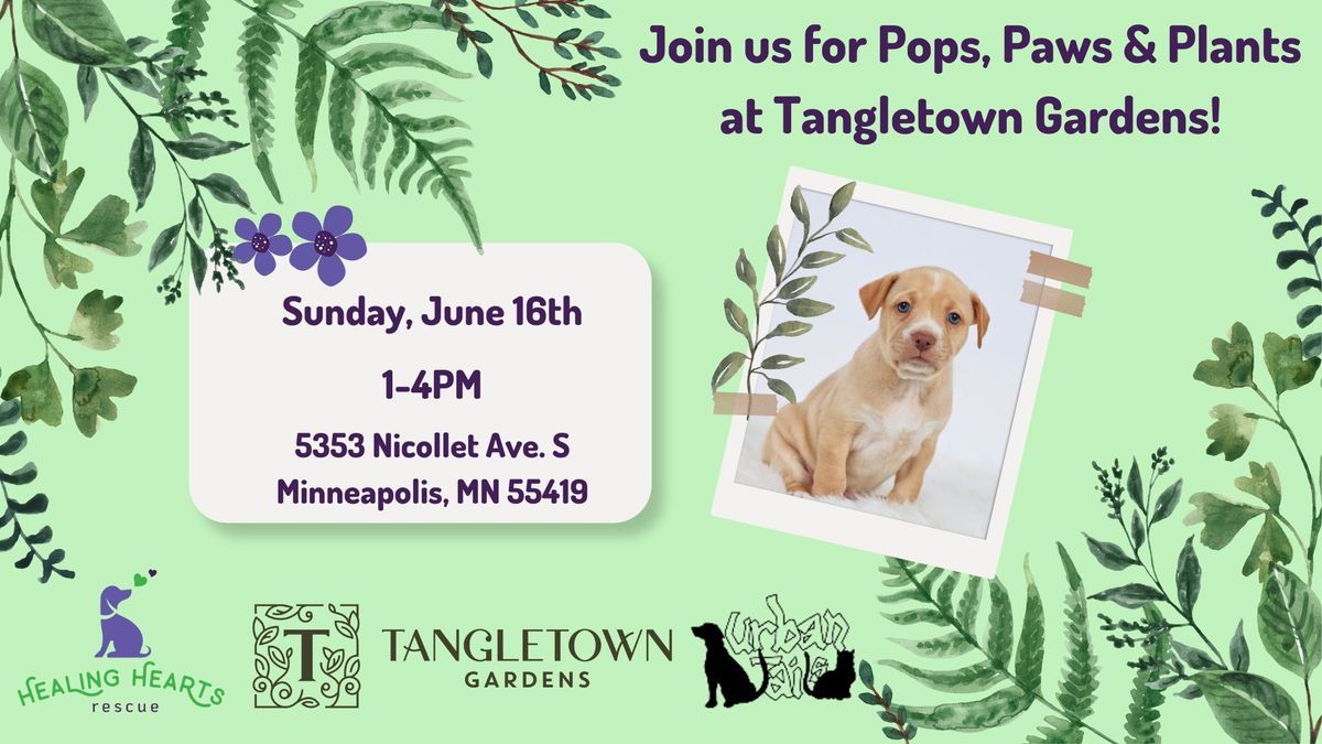 Pops, Paws & Plants at Tangletown Gardens