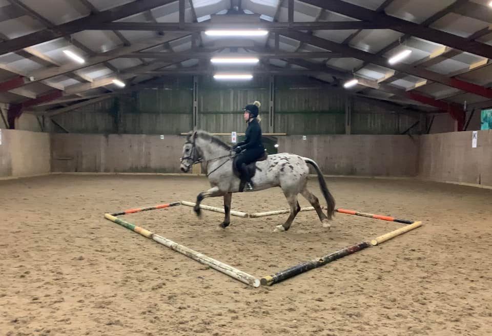 Cornwall Trec Group Winter Flatwork Training with Cassy Gadsby Extra