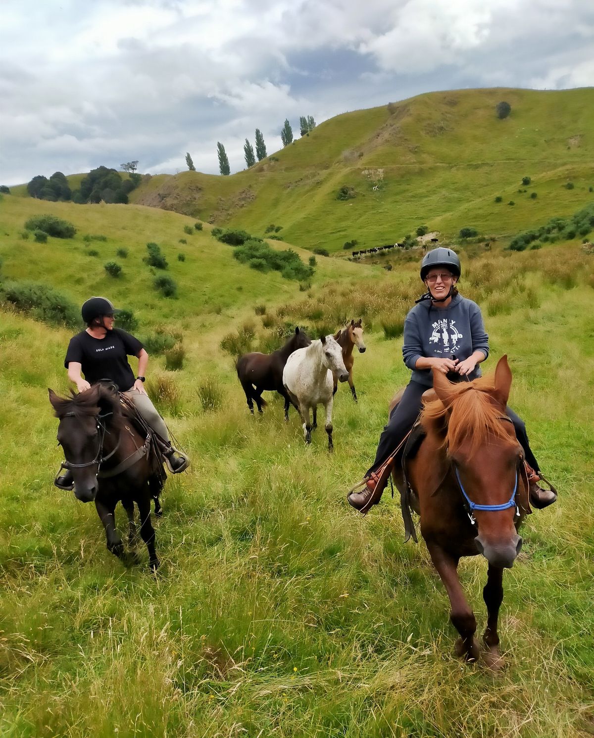 Adult Horse Riding Camp