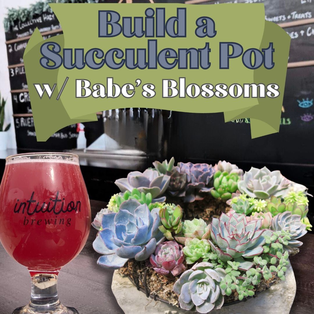 ?Build a Succulent Pot with Babe\u2019s Blossoms