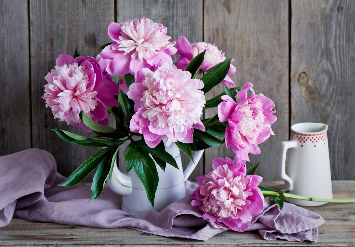 Peony Flower Arrangement Class