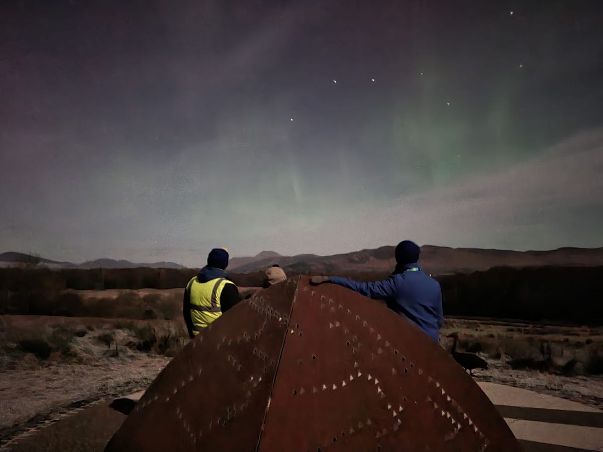 Illuminate RSPB Scotland Loch Lomond 