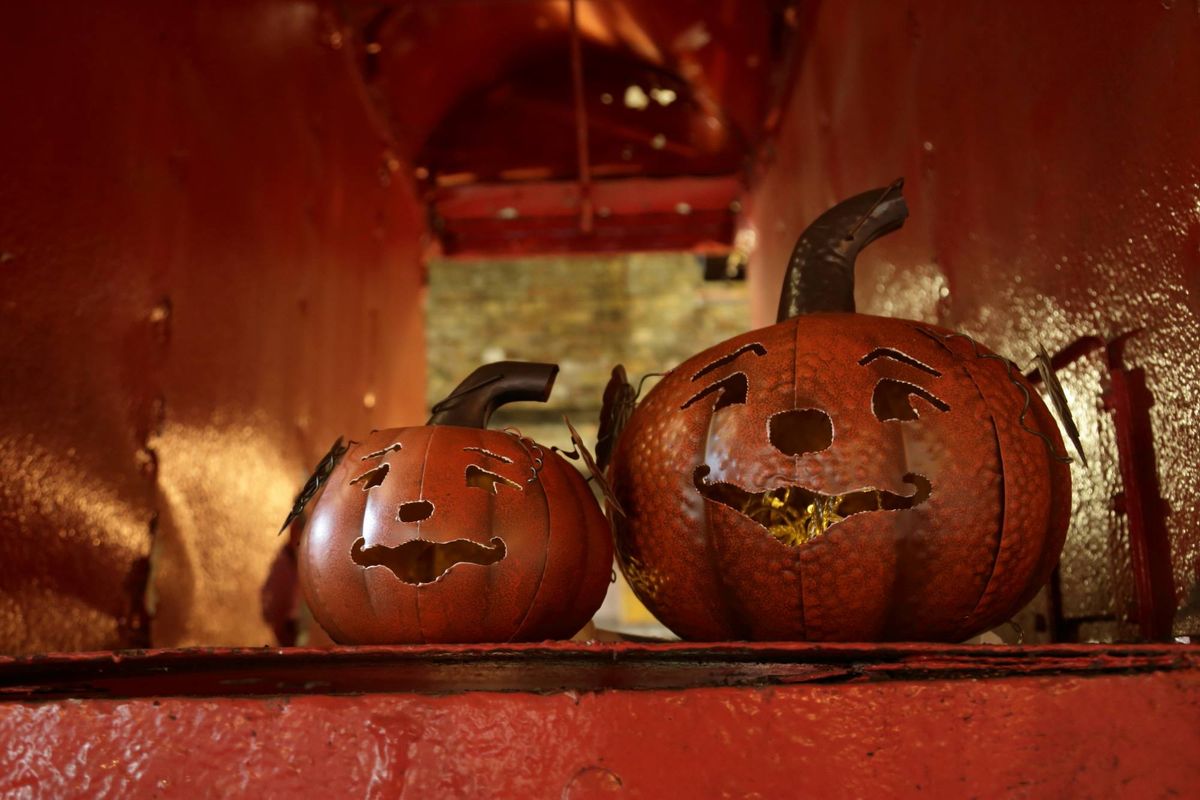 Pumpkin Trail at Woodhorn Museum