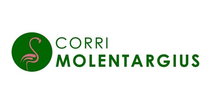 9^ Corri Molentargius - 6\u00b0 Memorial Luca Piu