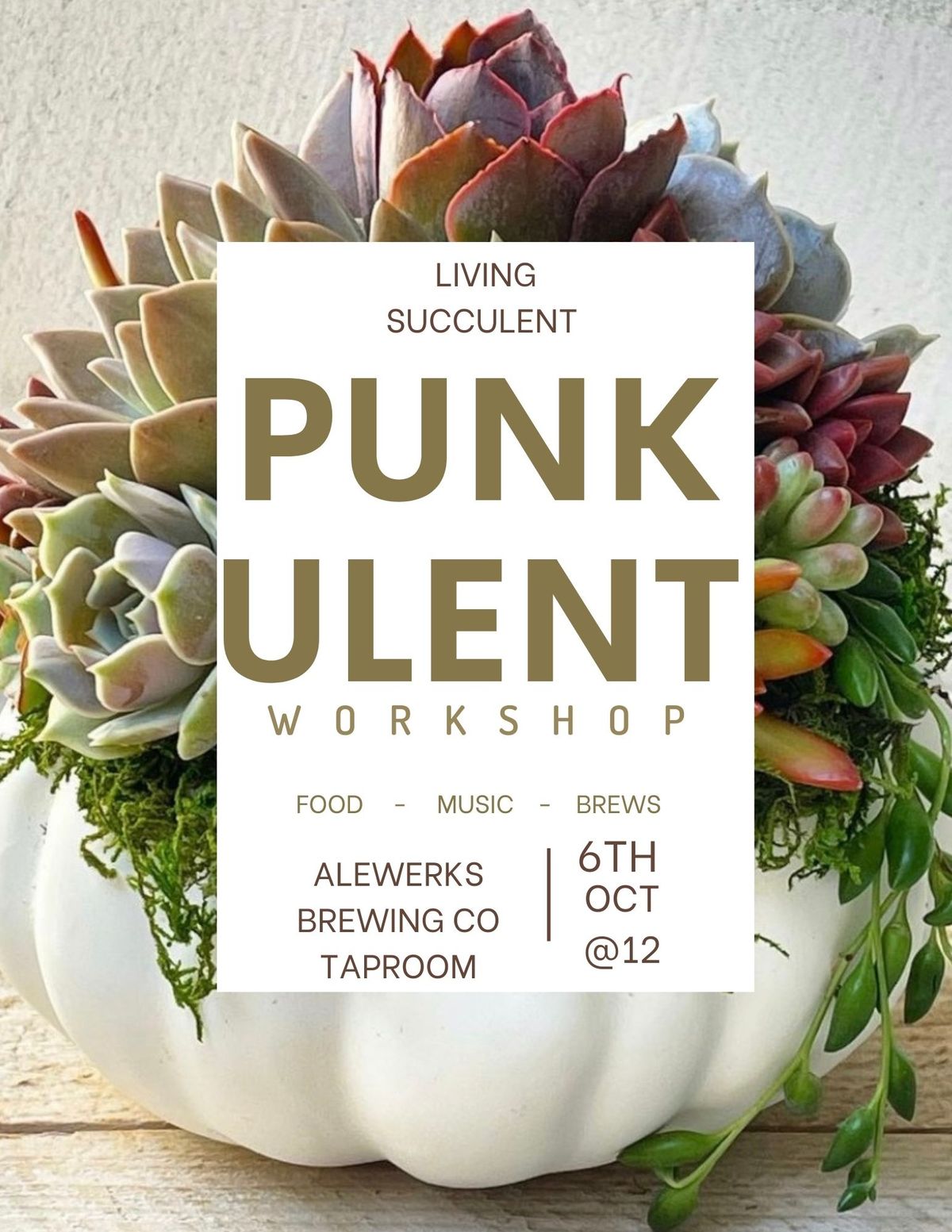 Punkulents & Pints Succulent Workshop