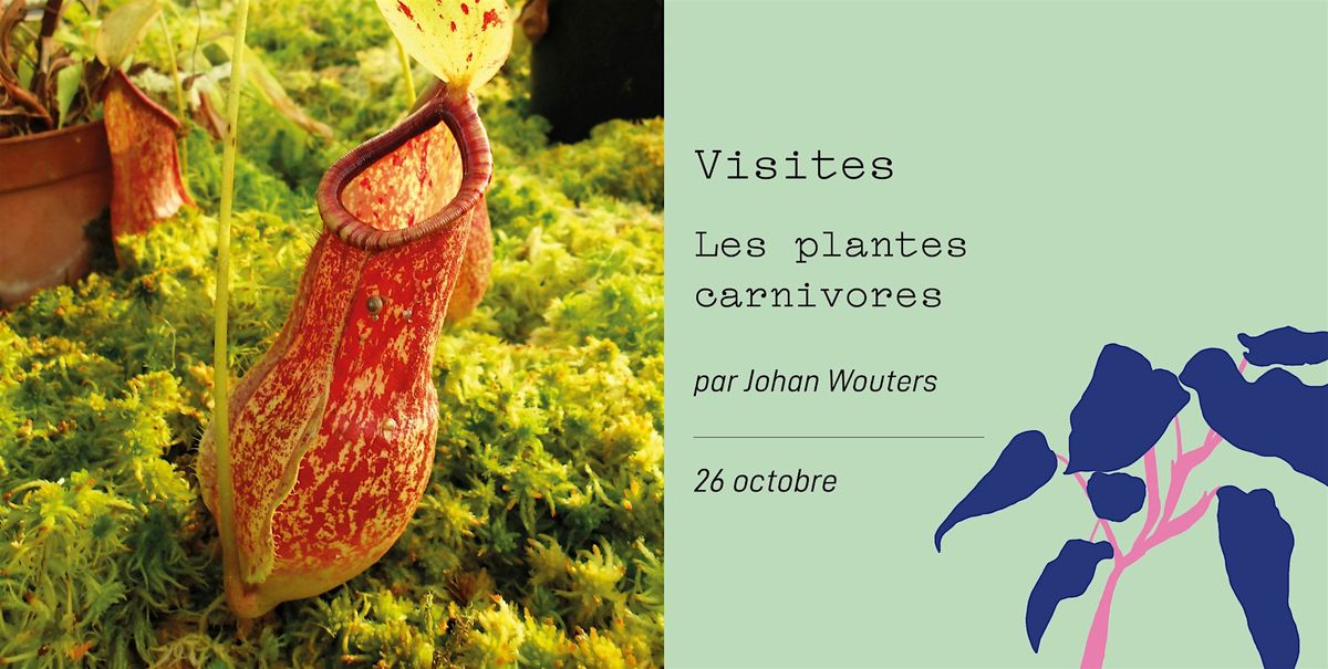 Les plantes carnivores