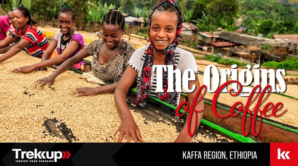 The Origins of Coffee | Kaffa Region, Ethiopia