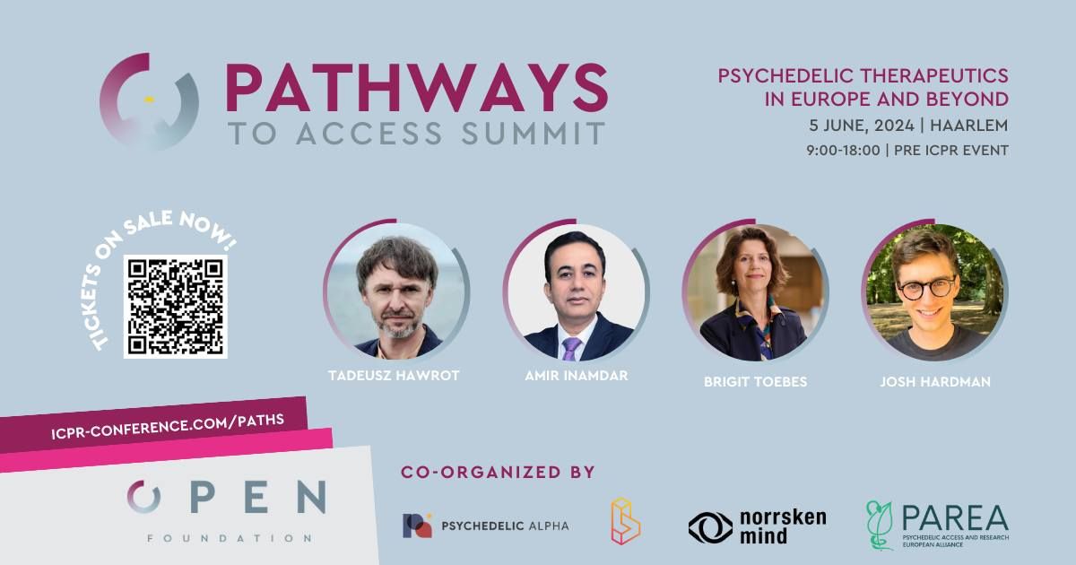 Pathways to Access Summit (Paths) | Pre ICPR 2024
