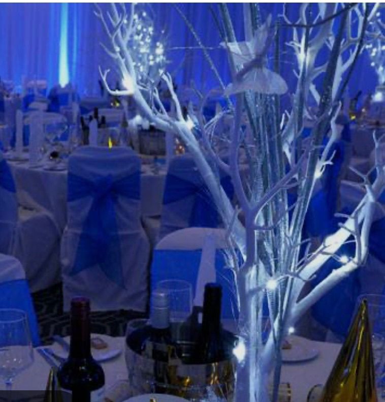 Charity winter ball