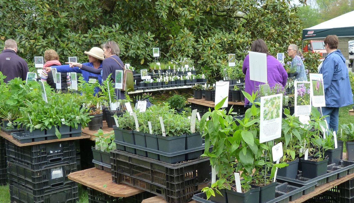 Spring Native Plant Sale at Morven Park