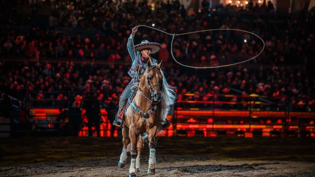 San Diego Rodeo