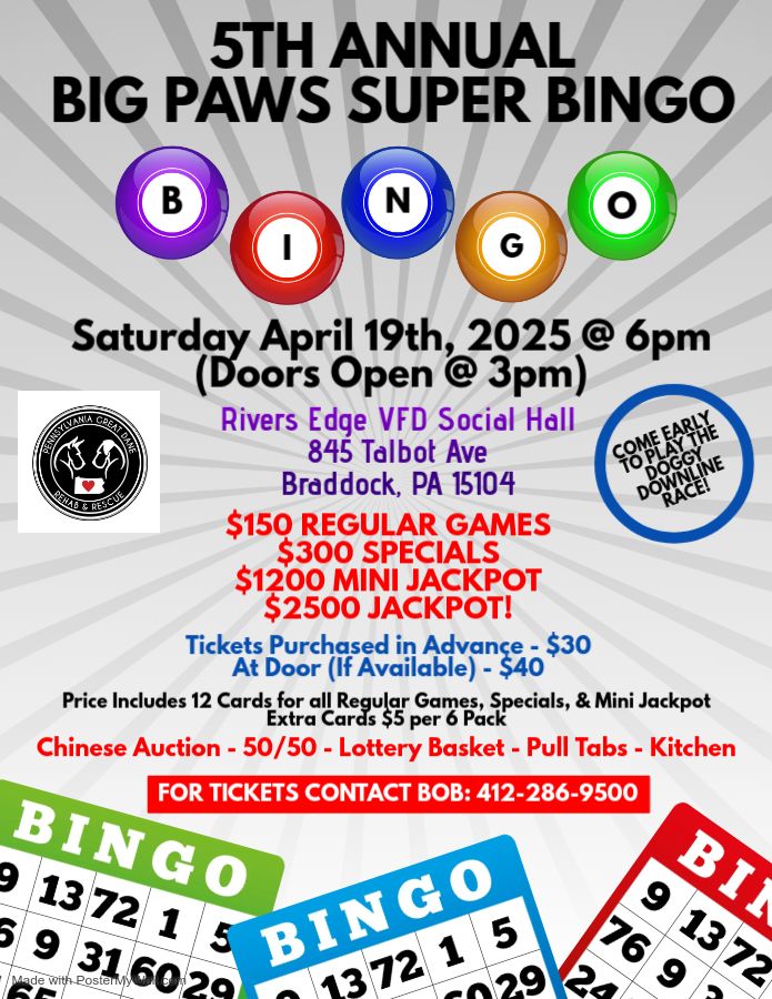 5th Annual Big Paws Bingo 