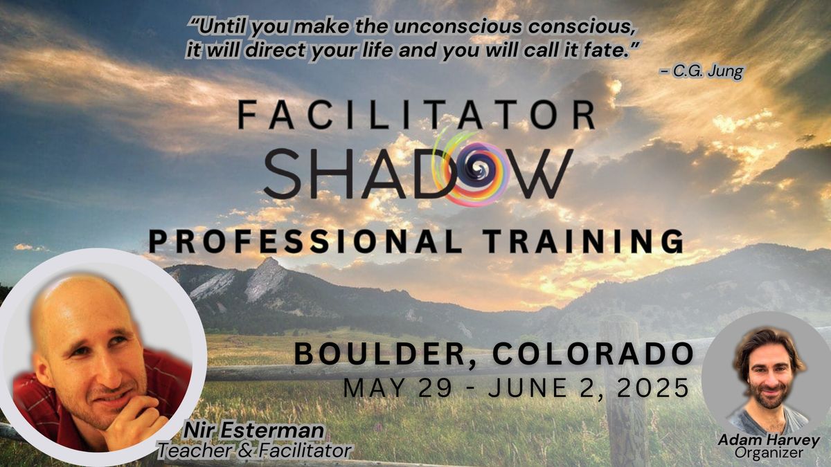 Facilitator Shadow: Embodied Constellation Training with Nir Esterman