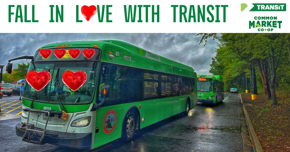 Fall in Love with Transit