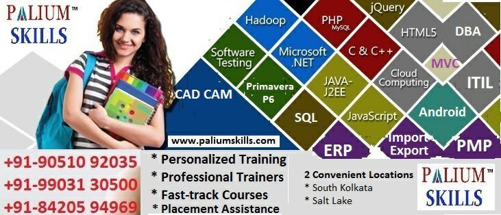 Tally Erp + GST Training