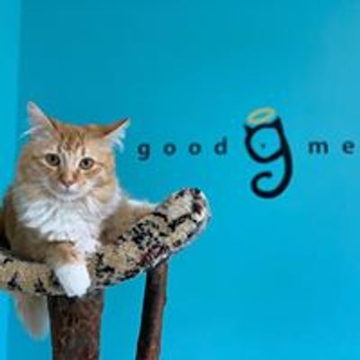 Good Mews Animal Foundation