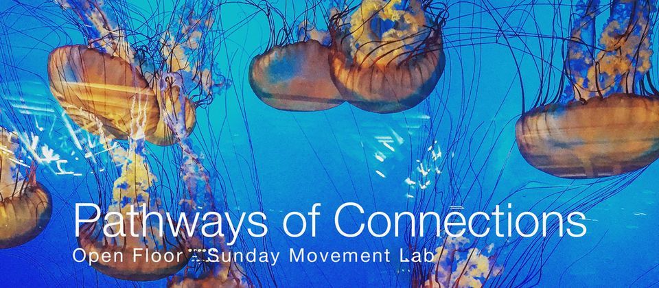 Pathways of Connections | Sunday Movement Lab