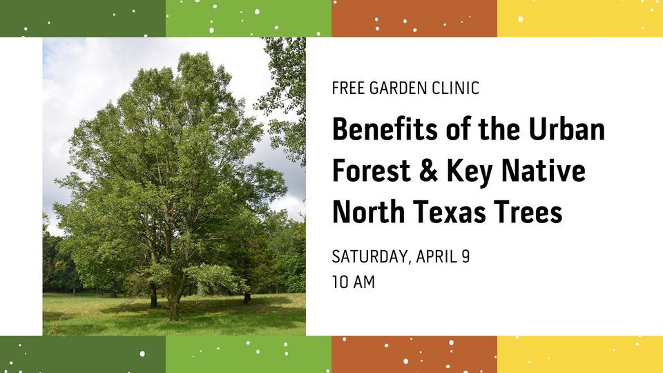Benefits of the Urban Forest & Key Native North Texas Trees, 7401 Coit