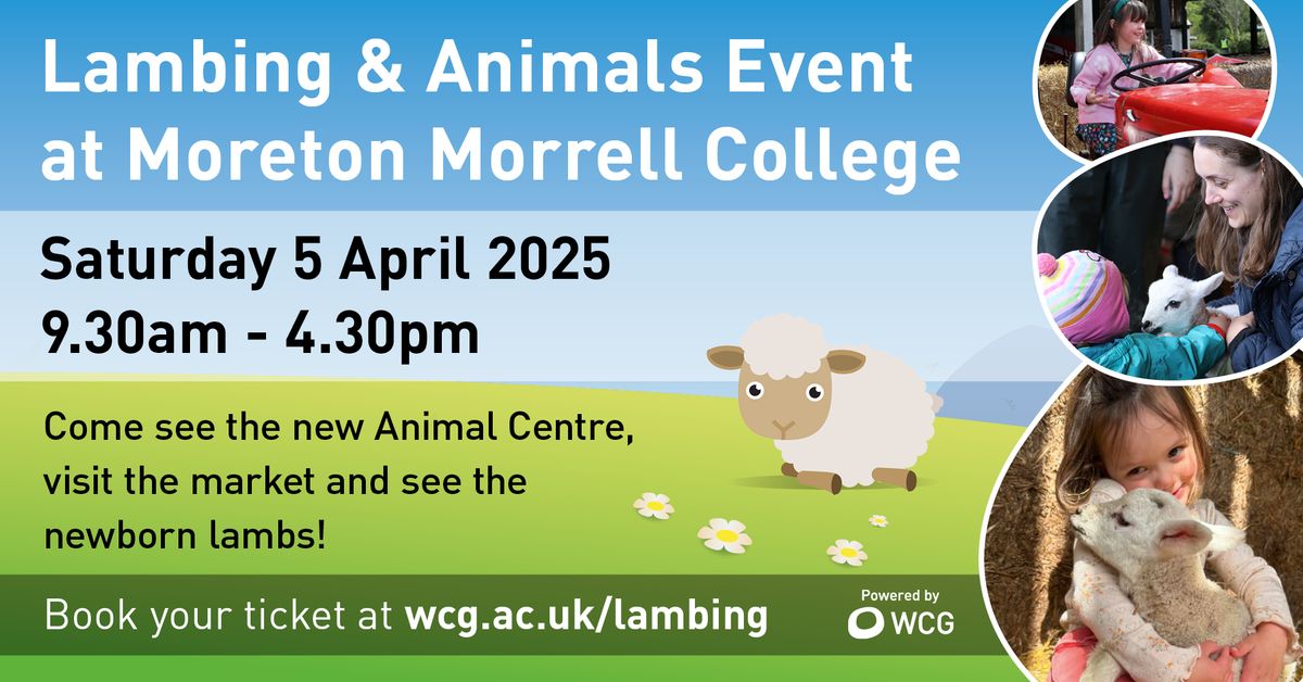 Lambing & Animals Event 2025