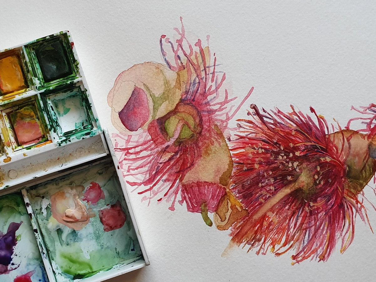 Working with Watercolour | Adult Term 4 (9 sessions)