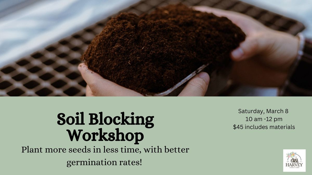 Seed Starting: Soil Blocking for Better Seed Germination