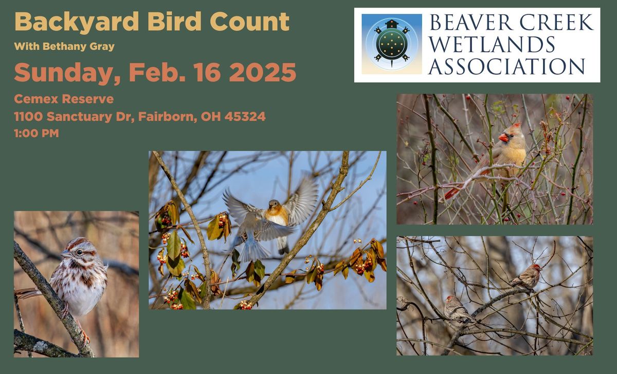 Backyard Bird Count at Cemex Reserve