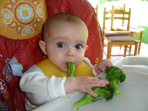 Baby led weaning talk