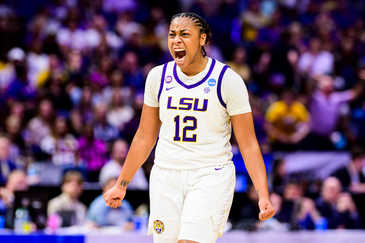 Parking LSU Tigers at Georgia Southern Eagles Womens Basketball