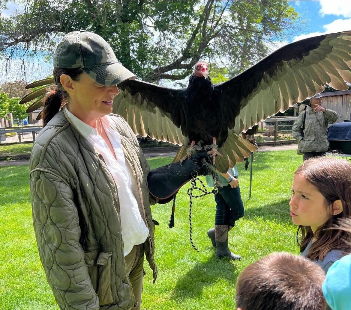 Wildlife Wednesday: On the Wing! 