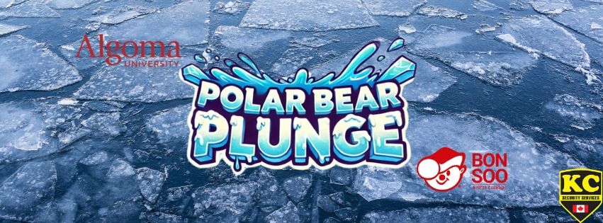 Polar Bear Plunge