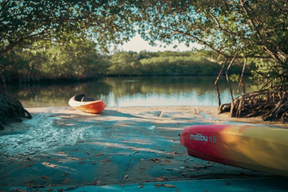 Picnic, Bicycling and Kayaking at Oleta State Park - Join US!