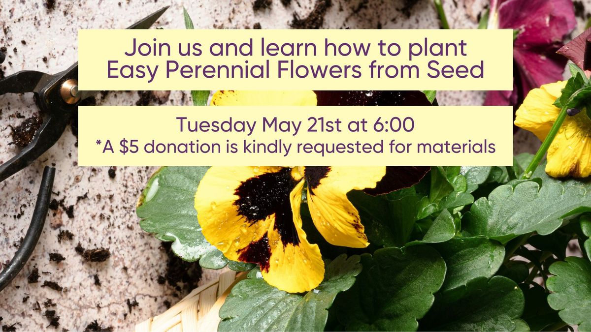 Easy Perennials from Seed