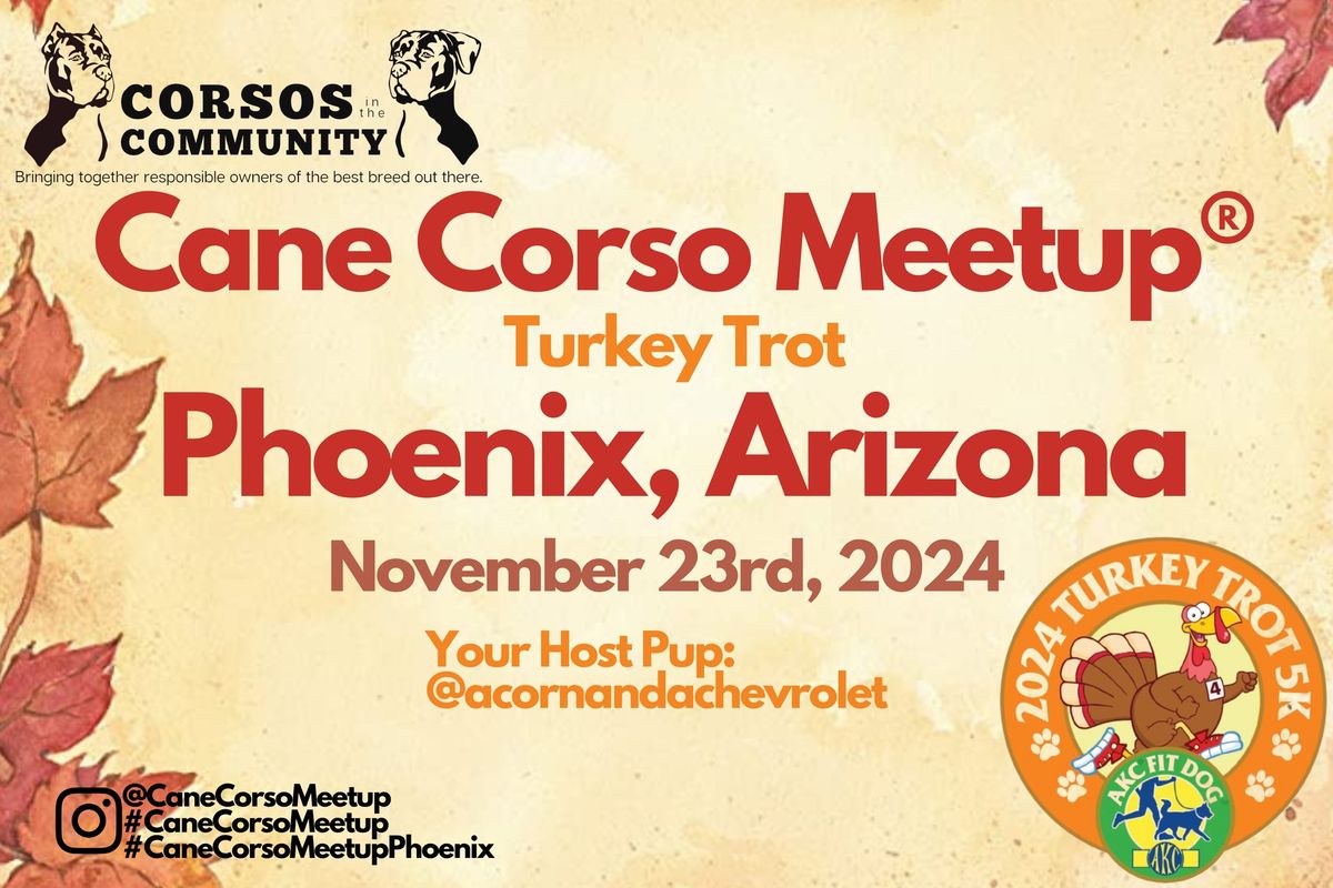 Phoenix Cane Corso Meetup\u00ae- Turkey Trot - come see adoptable Az Mastiff Rescue Dogs