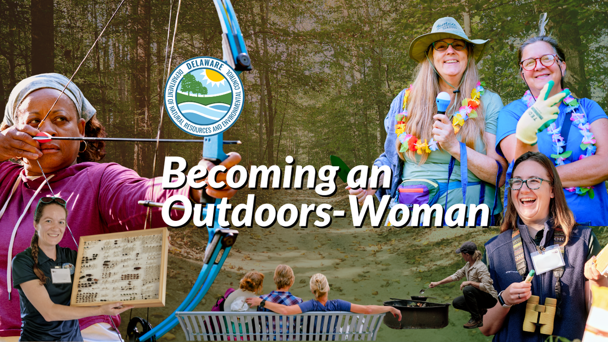 Parking Big Sky Womens Basketball Tournament - Session 3