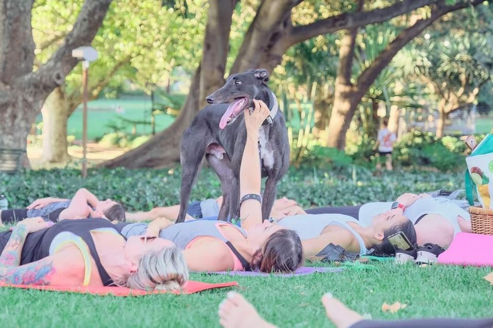 Dog Yoga In The Park! *FUNDRAISER*