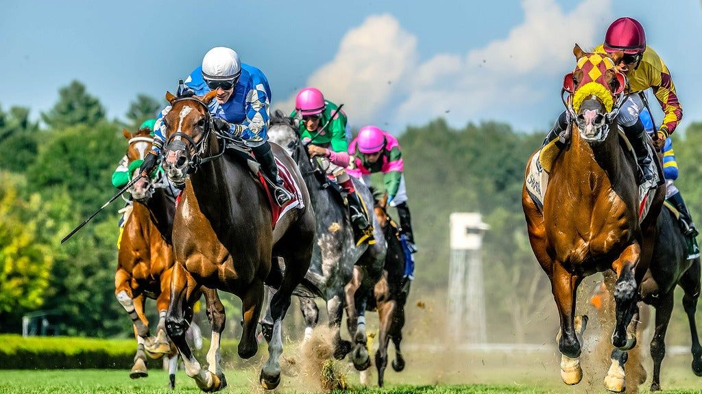 Saratoga Race Course Pick Six Picnic Paddock Tickets, Saratoga Race