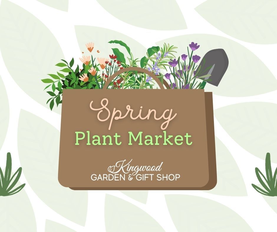 Spring Plant Market