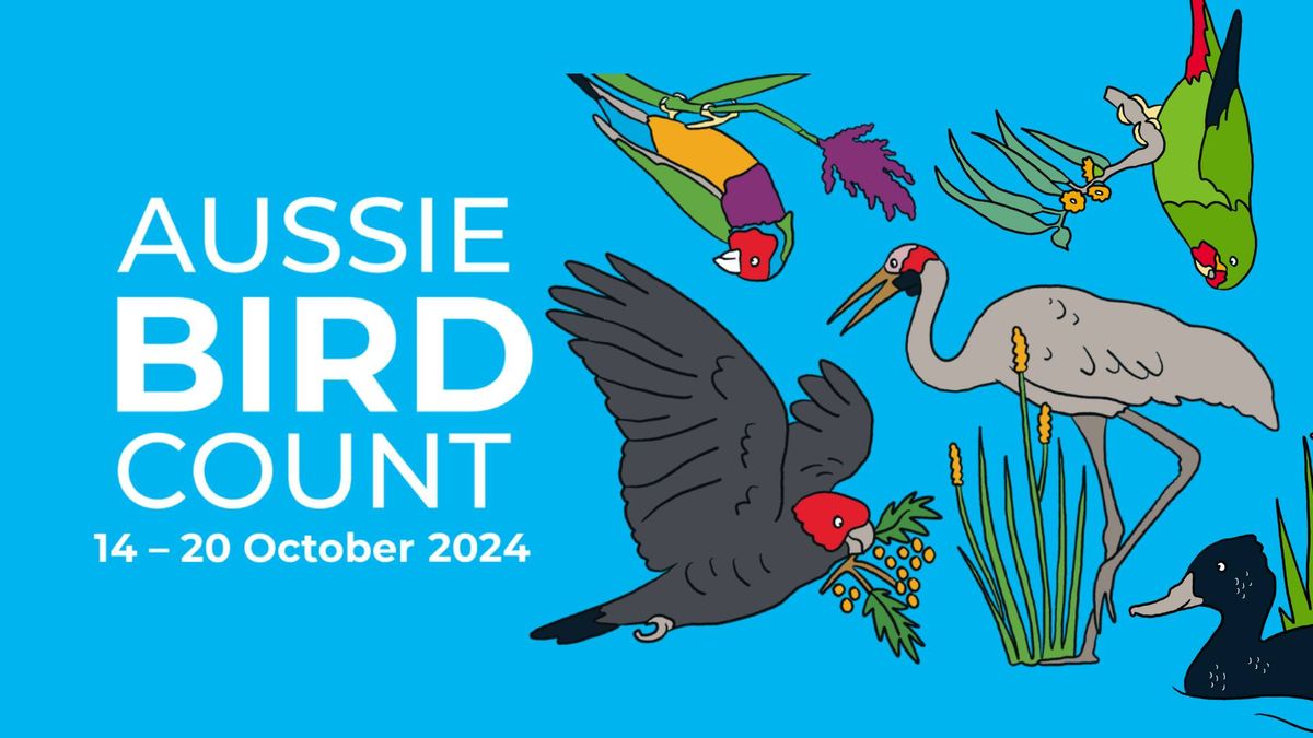 The 2024 Aussie Bird Count!