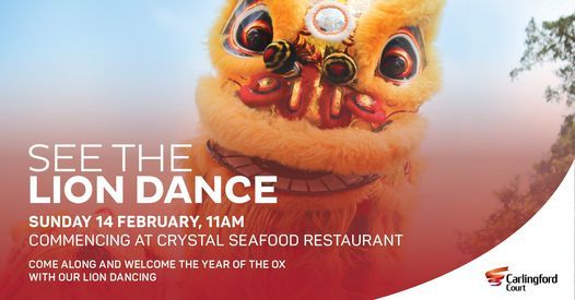 See The Lion Dance