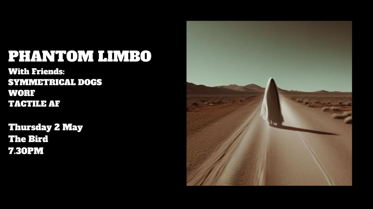 Phantom Limbo, Symmetrical Dogs, WORF, Tactile AF @ The Bird
