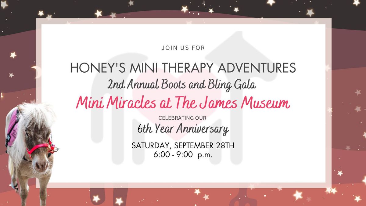 2nd Annual Boots and Bling Gala, Mini Miracles at The James Museum