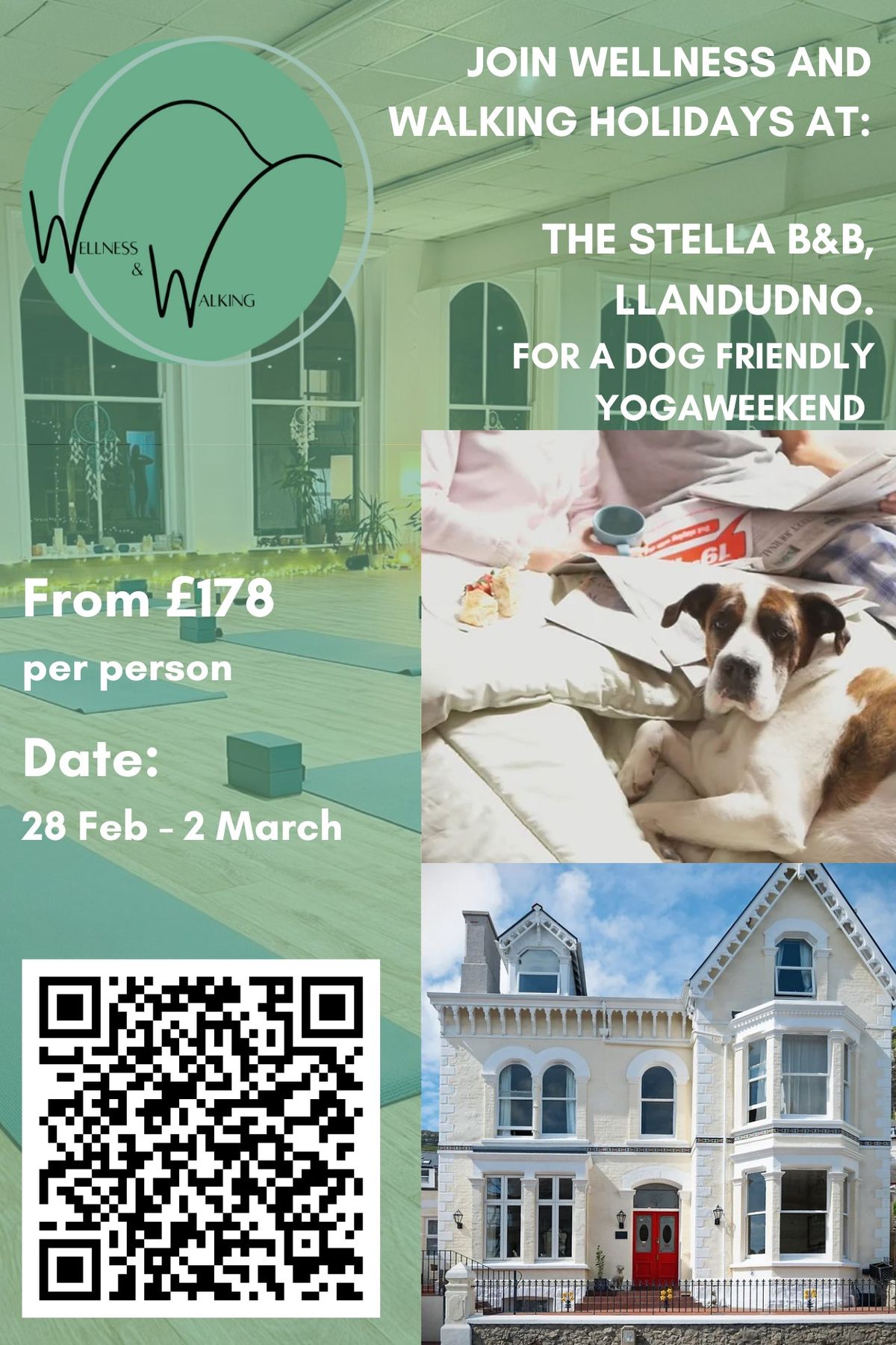 Dog Friendly Yoga Weekend in Llandudno