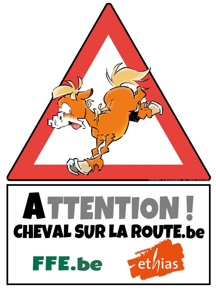 Ce 20\/9\/25 tous avec nos chevaux sur la route Paard op de baan