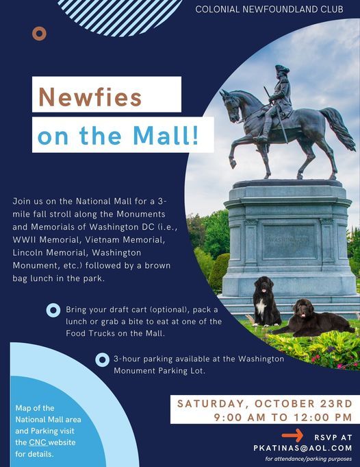 Newfies on the Mall