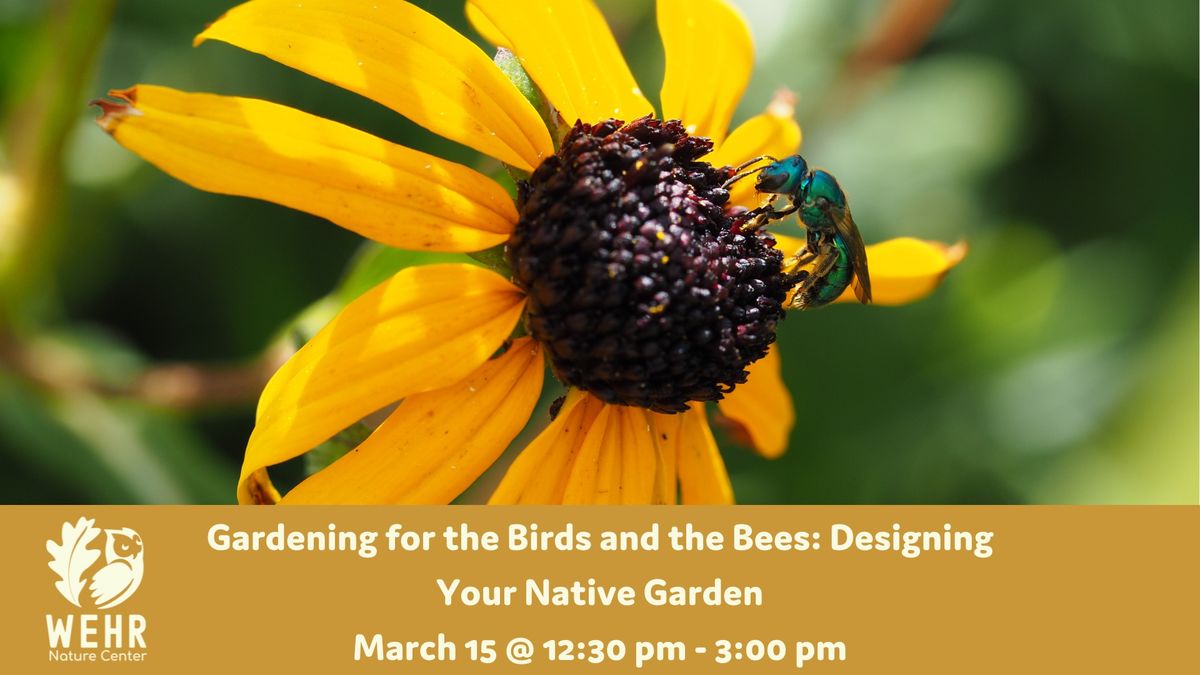 Gardening for the Birds and the Bees: Designing Your Native Garden