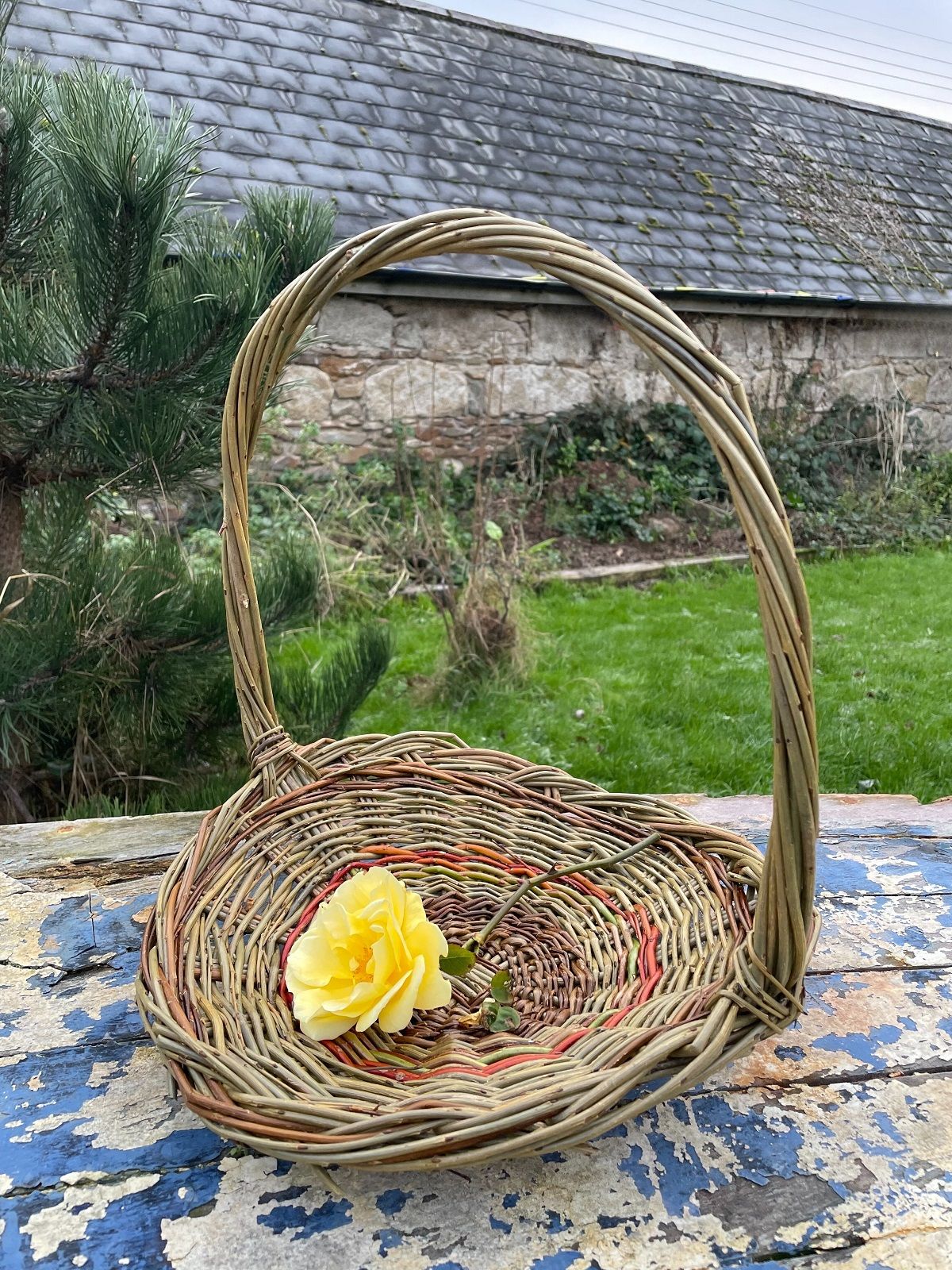 Spring Basket Willow Weaving