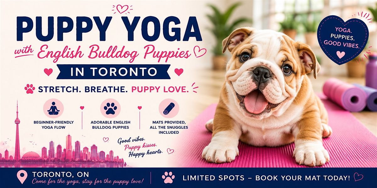 Puppy Yoga with English Bulldogs in Toronto
