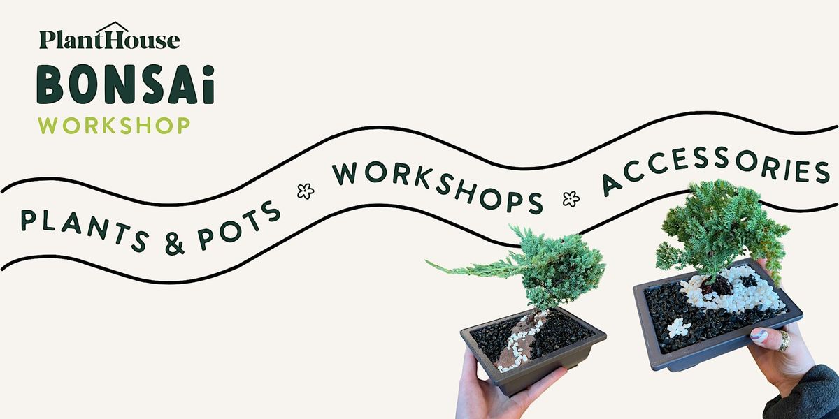 Bonsai Workshop